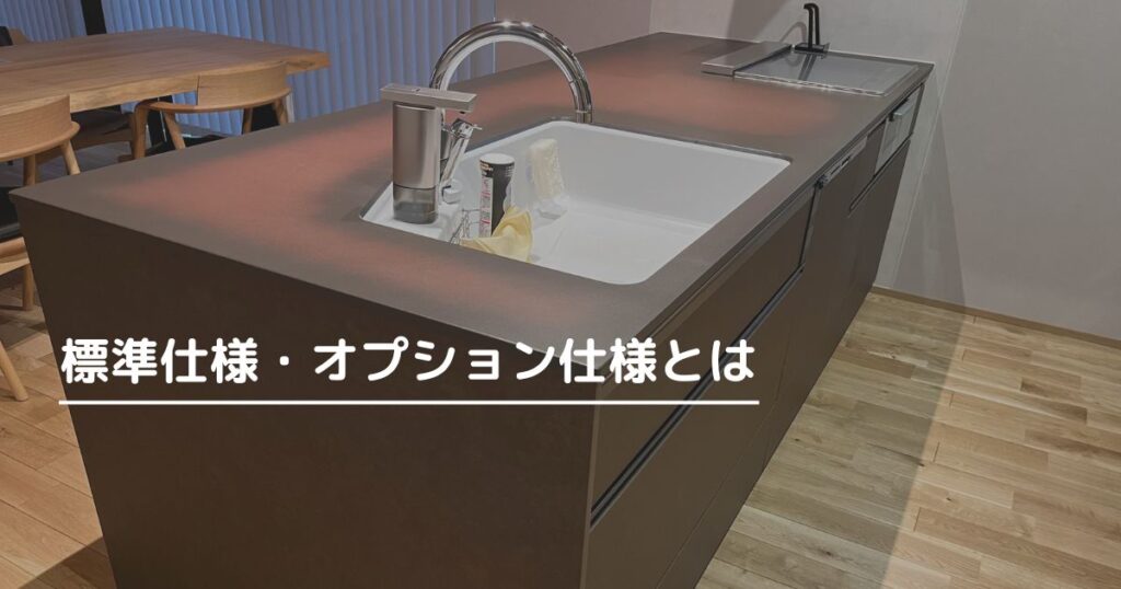 標準仕様とオプション仕様についての説明